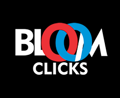 BloomclicksAffiliateNetwork.png